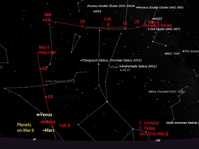 C Lovejoy Finlay Jan 20-Mar 6